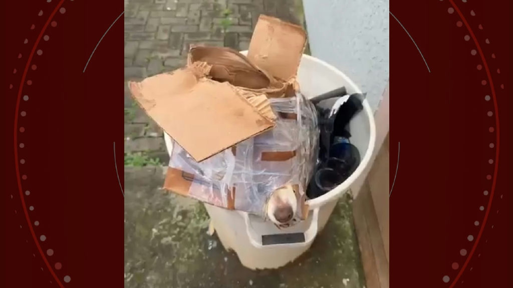 Cachorro é encontrado amordaçado e preso em lixeira em Guarapuava