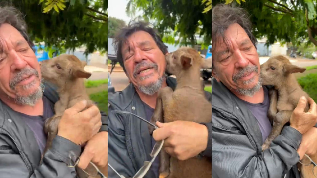 Filhote de cabra Fred: o emocionante reencontro em Cascavel que viralizou