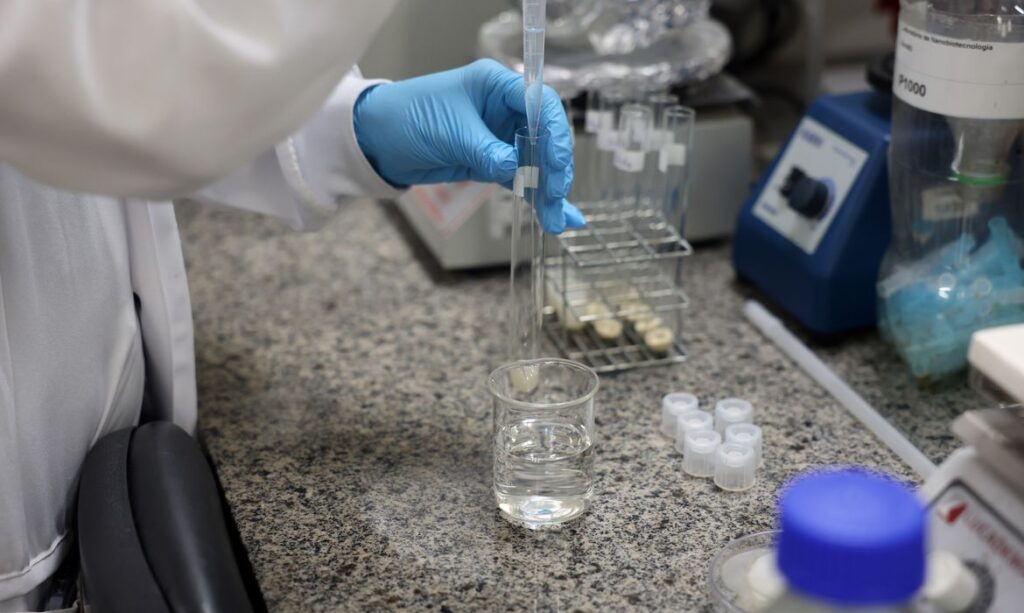 Protocolos sanitários avançam no controle de foco em Santa Catarina