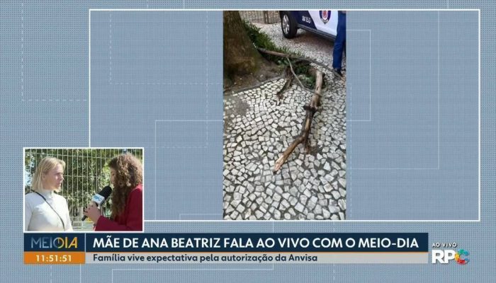 Jovem é atingida por galho e perde o movimento das pernas em Curitiba