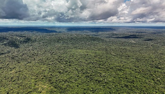 Aprovado financiamento de US$ 1 bilhão do BID para o Eco Invest Brasil