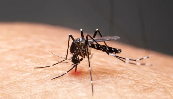 Avanço de doenças infecciosas no Brasil acende alerta devido ao clima