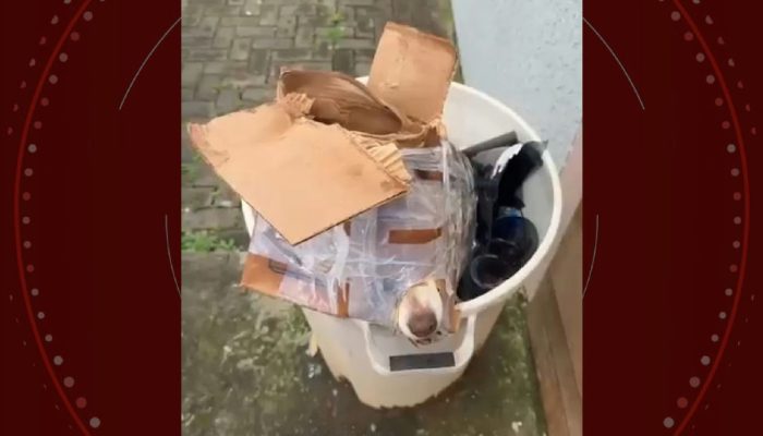 Cachorro é encontrado amordaçado e preso em lixeira em Guarapuava