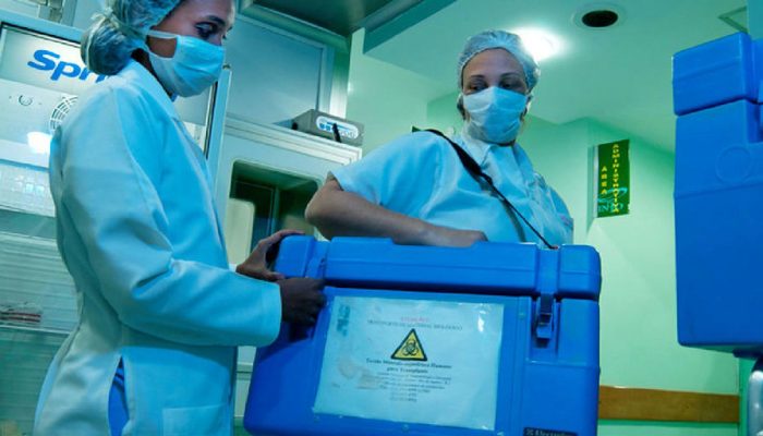 Comunicação e acolhimento: desafio para reduzir 45% de recusa em doação de órgãos no Brasil