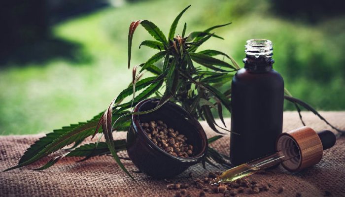 Insegurança jurídica trava avanço de associações de cannabis medicinal no Brasil