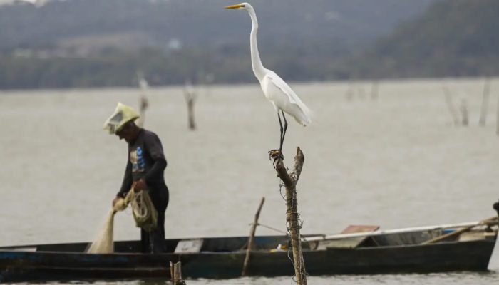 © Joédson Alves/Agência Brasil