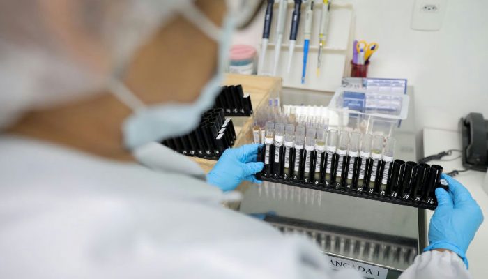 Malária: Anvisa autoriza testes em humanos da primeira vacina brasileira contra o Plasmodium vivax