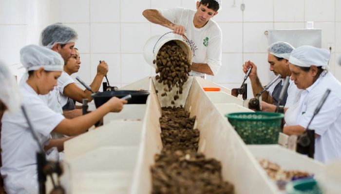 Mdic encerra consulta sobre bens sustentáveis do Mercosul-ue nesta quarta