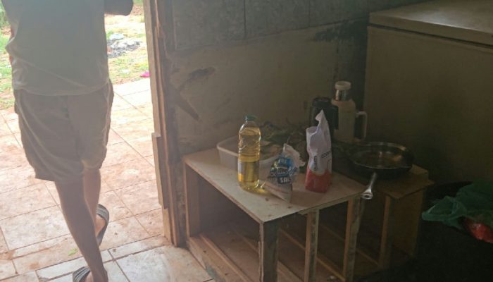 Trabalhadores resgatados de escravidão no Paraná sobreviviam à base de farinha e água